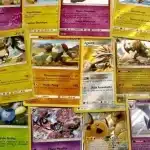 Suivre collection pokemon